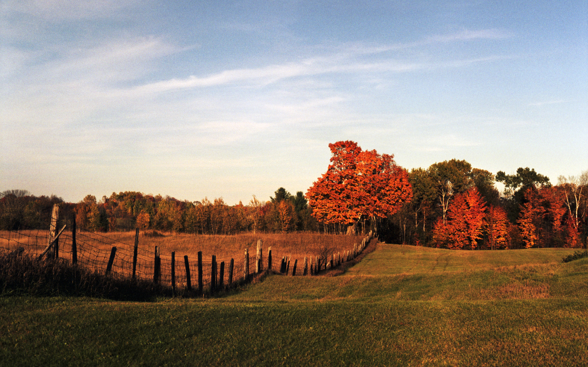 Fall in Southern Iowa: The Best Season to Explore Real Estate & Land Opportunities